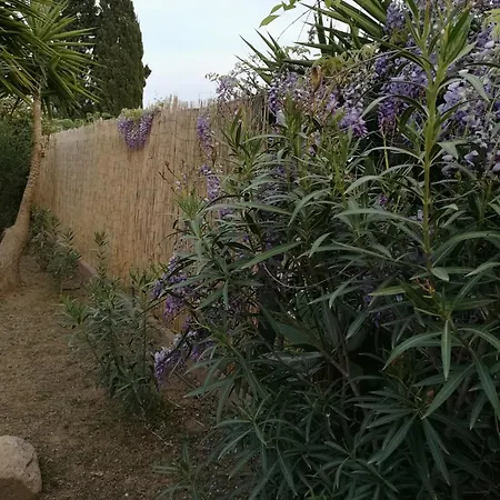 Lory Holiday home